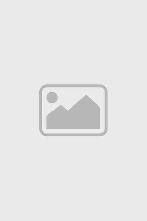 《女士优先》宣传海报